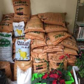 Các loại đất dinh dưỡng trồng hoa