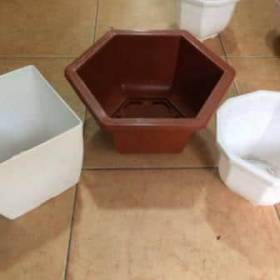 Chậu lục giác trồng hoa