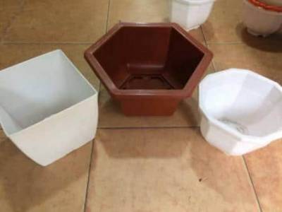 Chậu nhựa trồng rau, trồng hoa các loại
