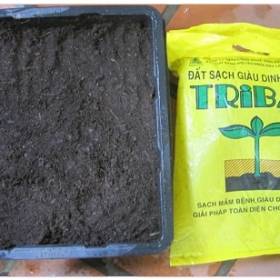 Đất giàu dinh dưỡng Tribat