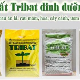 Đất dinh dưỡng Tribat