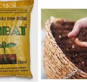 Đất trồng cây