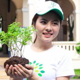 Đất vinatap chất lượng cao
