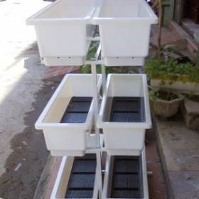 Chậu thông minh đặt kệ ba tầng