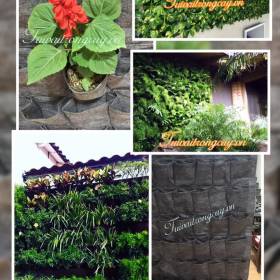 Túi vải trồng cây treo tường