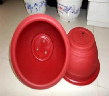 Chậu nhựa trồng quất các loại