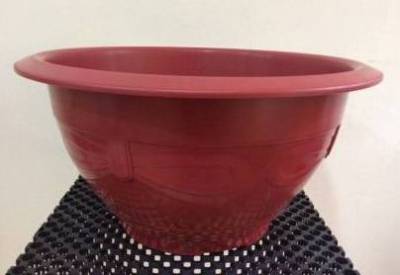 Chậu nhựa trồng quất đào cảnh