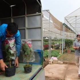 Giao nhanh hàng hoa tại Hà Nội