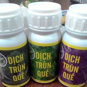 Dịch trùn quế